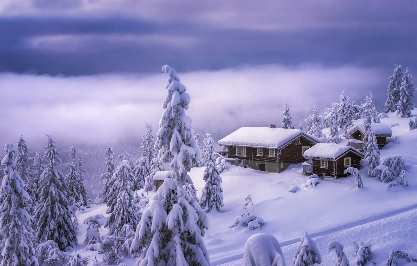Фото обои зима, облака, снег, деревья, пейзаж, горы, природа, дома