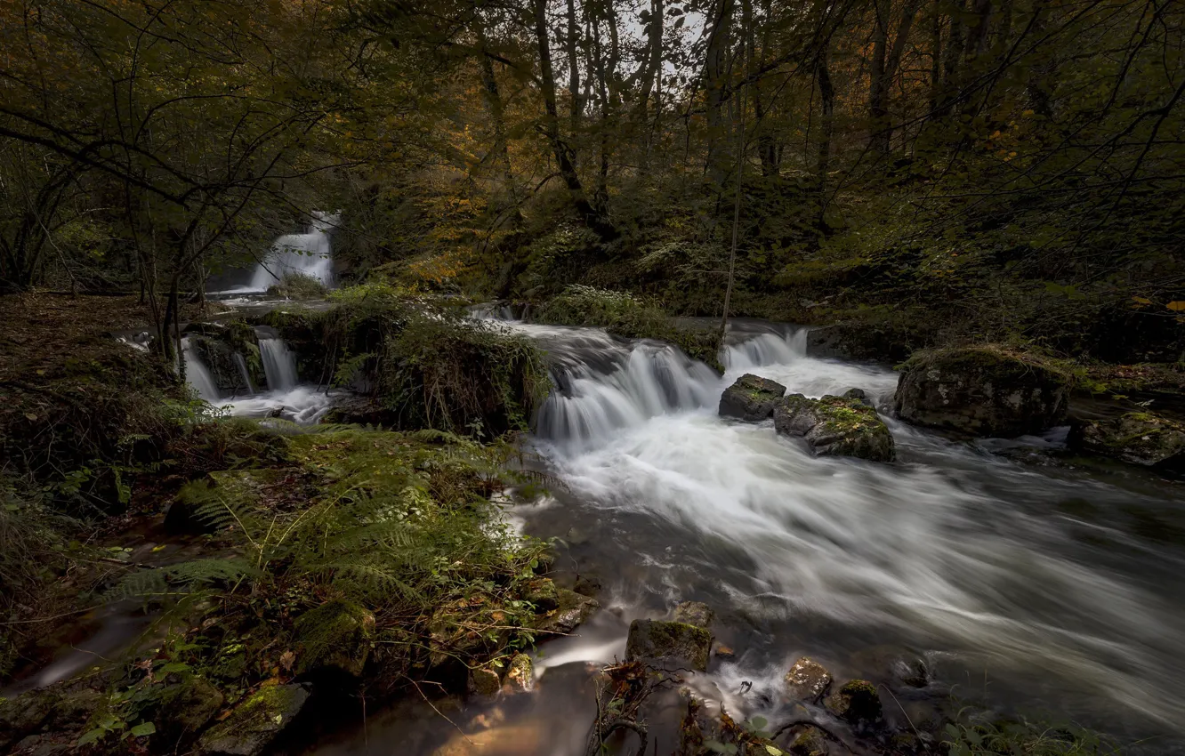 Фото обои лес, река, водопад, Испания, каскад, Spain, Cantabria, Кантабрия