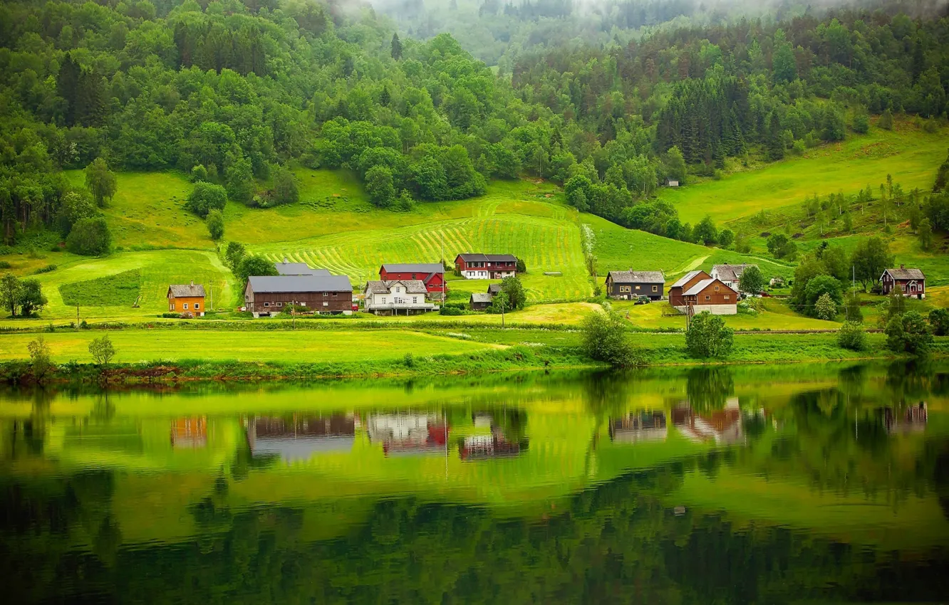 Фото обои лето, деревья, озеро, дома, склон, Норвегия