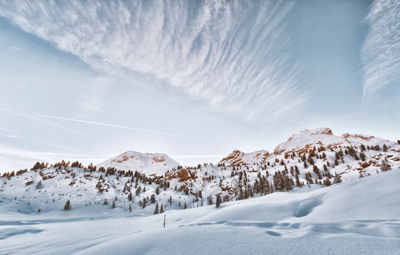 Фото обои зима, небо, солнце, свет, снег, деревья, горы