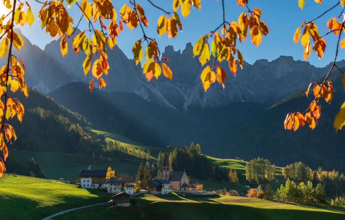 Фото обои осень, пейзаж, горы, ветки, природа, холмы, склоны, деревня