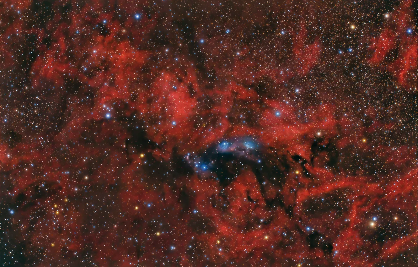 Фото обои туманность, Лебедь, NGC 6914, в созвездии, отражающая