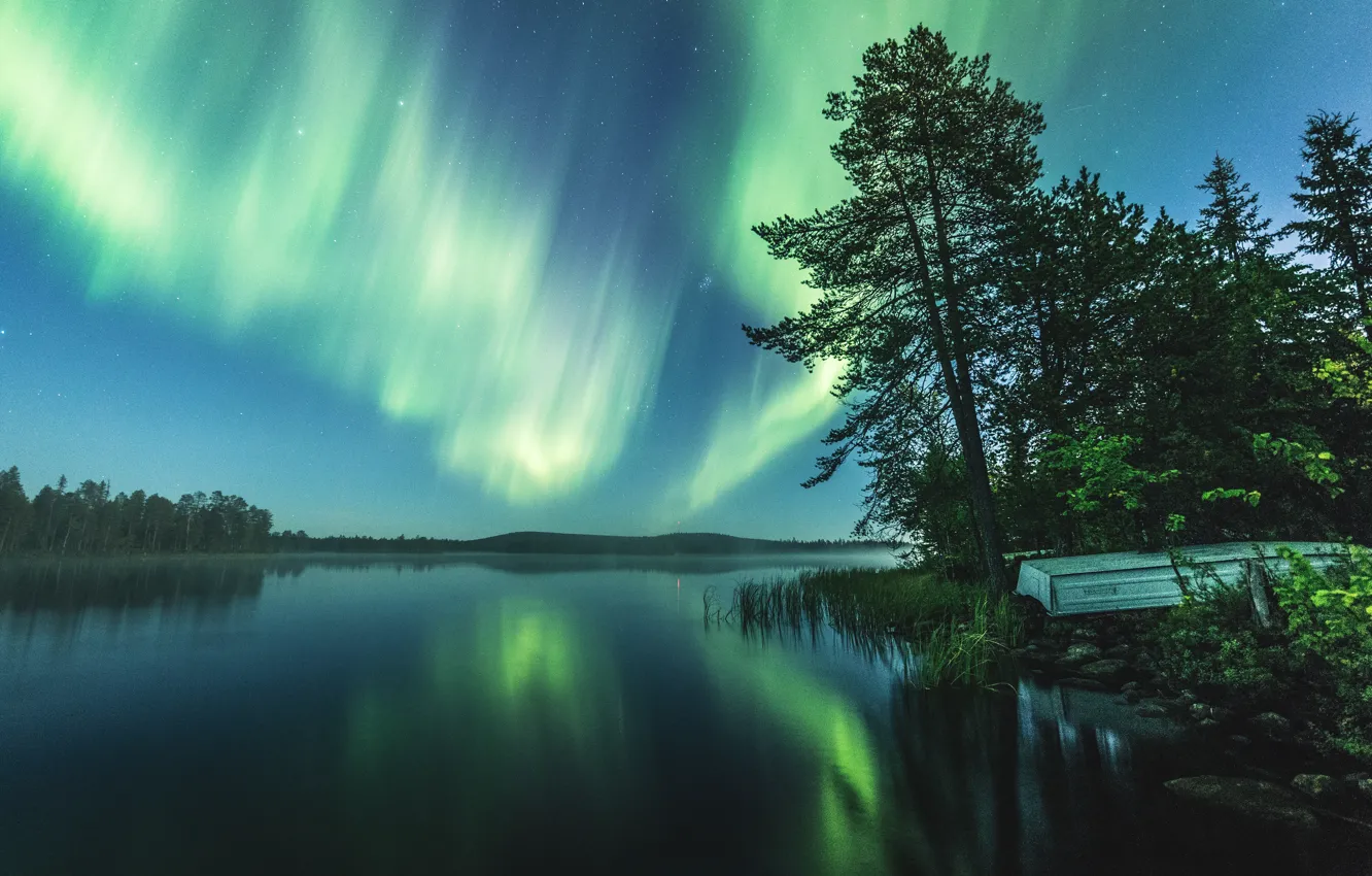 Фото обои лес, деревья, ночь, природа, озеро, отражение, река, берег