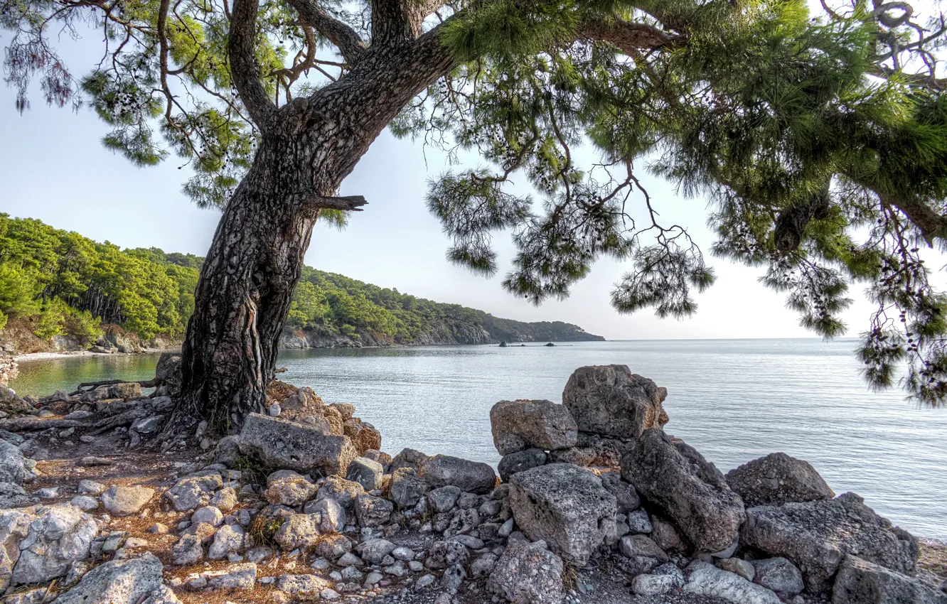 Фото обои вода, камни, фото, побережье, HDR, Turkey, Phaselis