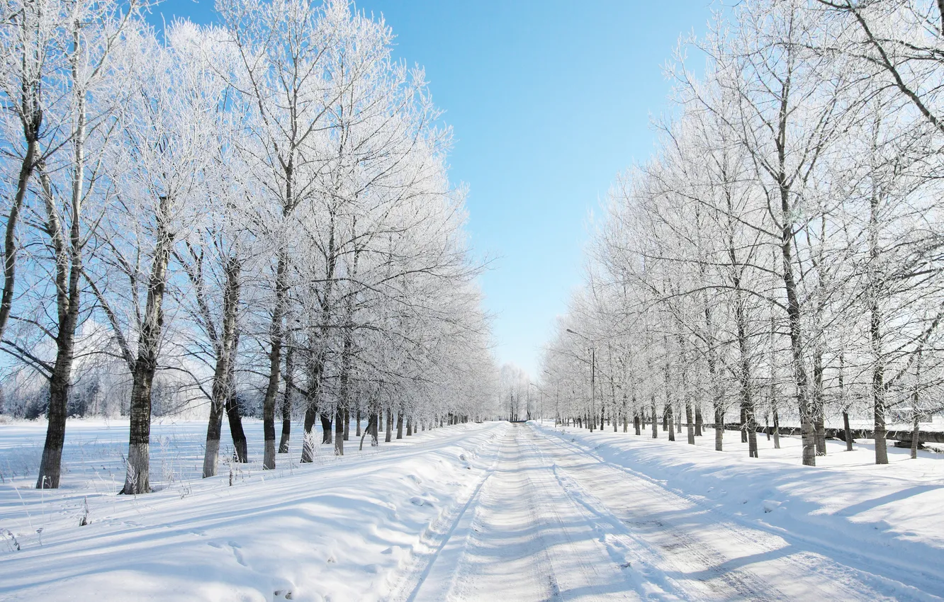 Фото обои зима, дорога, лес, снег, деревья, даль