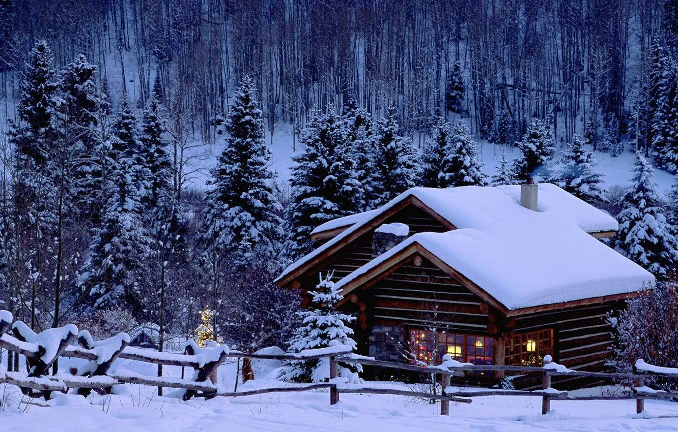 Фото обои зима, снег, дом, елка, новый год