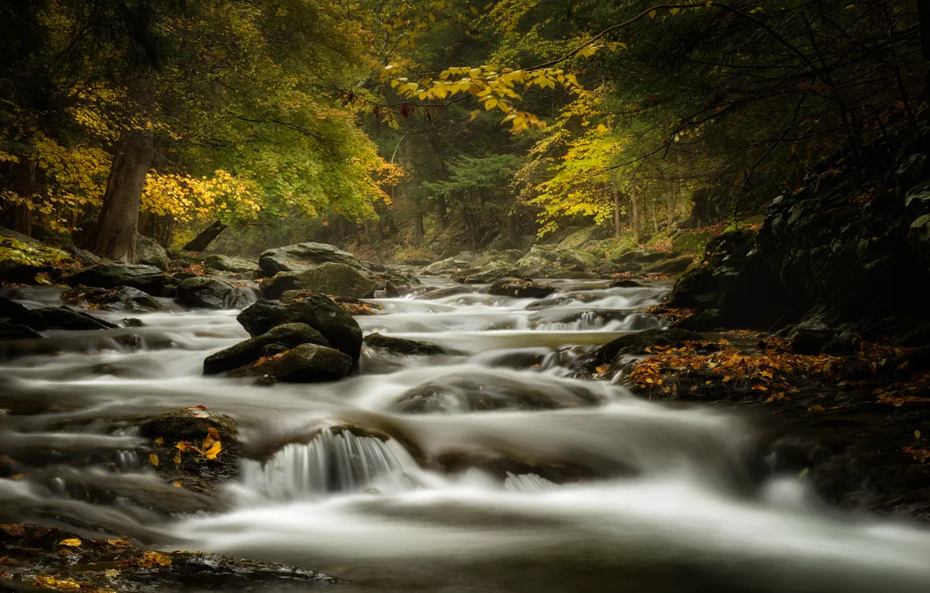 Фото обои осень, лес, река, ручей, камни, Massachusetts, Bash Bish Brook