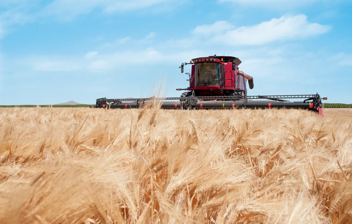 Фото обои field, wheat field, case, agricultural machinery, case ih