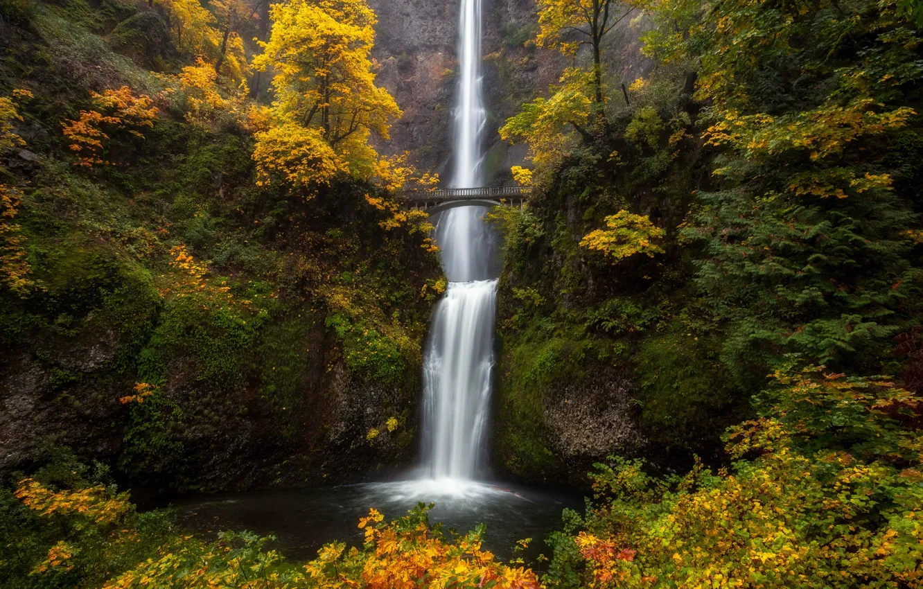 Фото обои лес, пейзаж, горы, природа, водопад, мостик, Doug Shearer