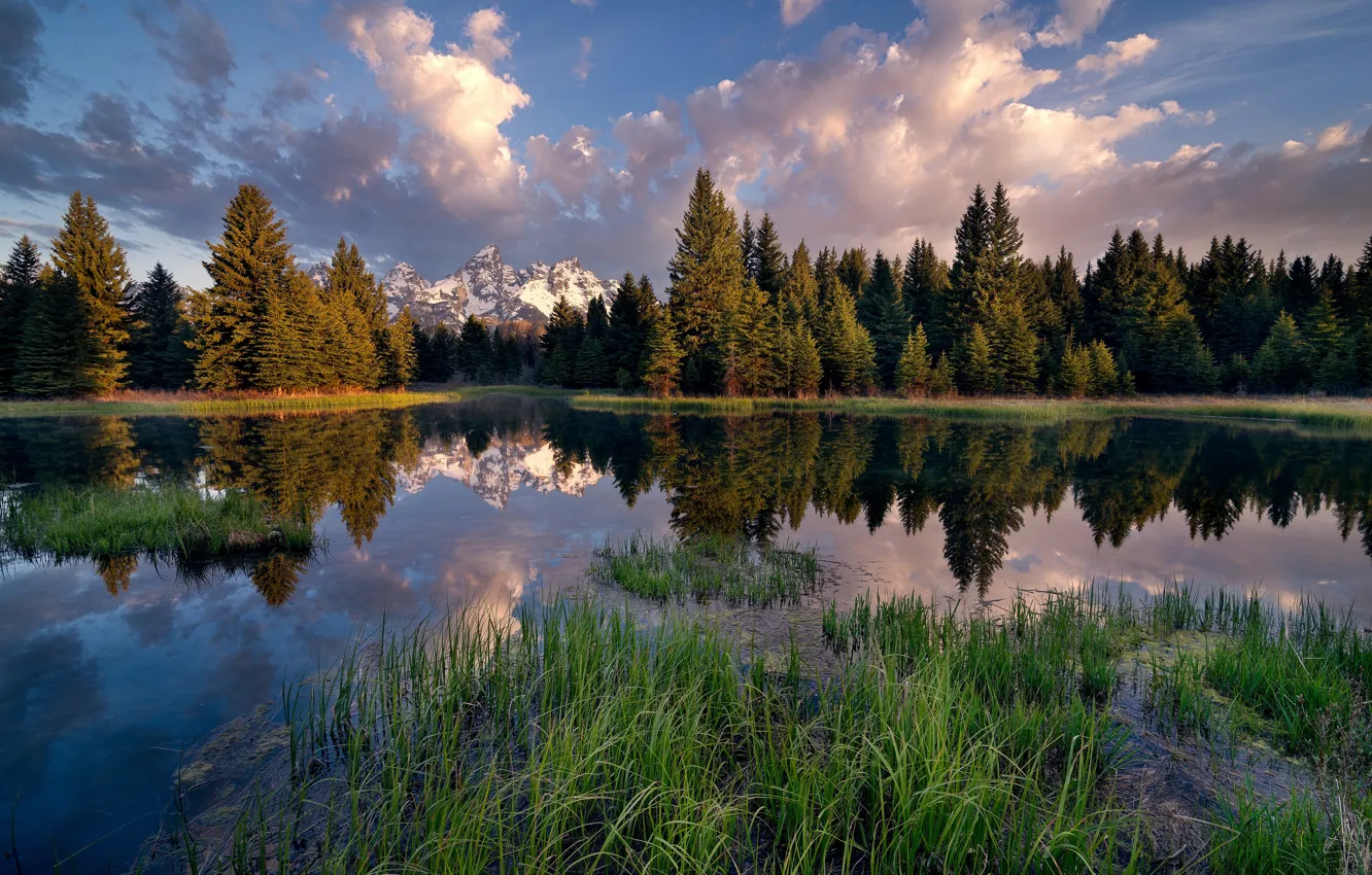 Фото обои лес, вода, облака, деревья, горы, озеро, отражение, камыши