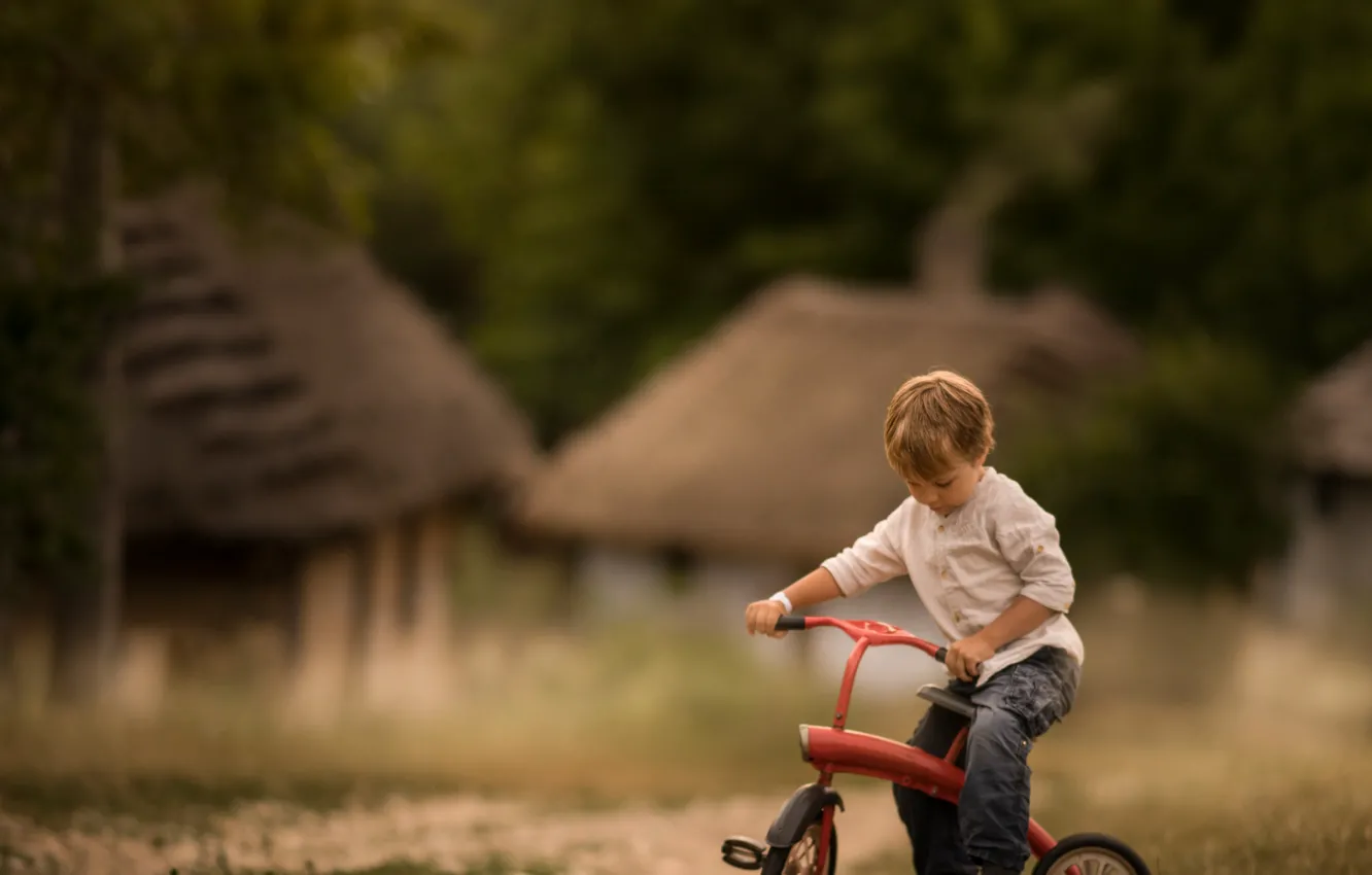 Фото обои велосипед, детство, мальчик