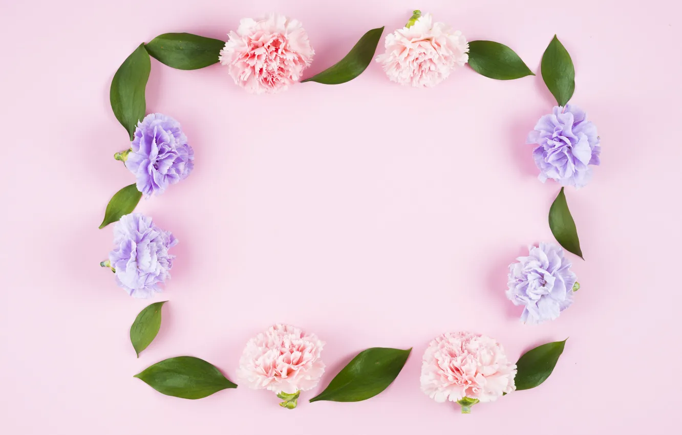 Фото обои листья, цветы, фон, розовый, бутоны, fresh, pink, flowers