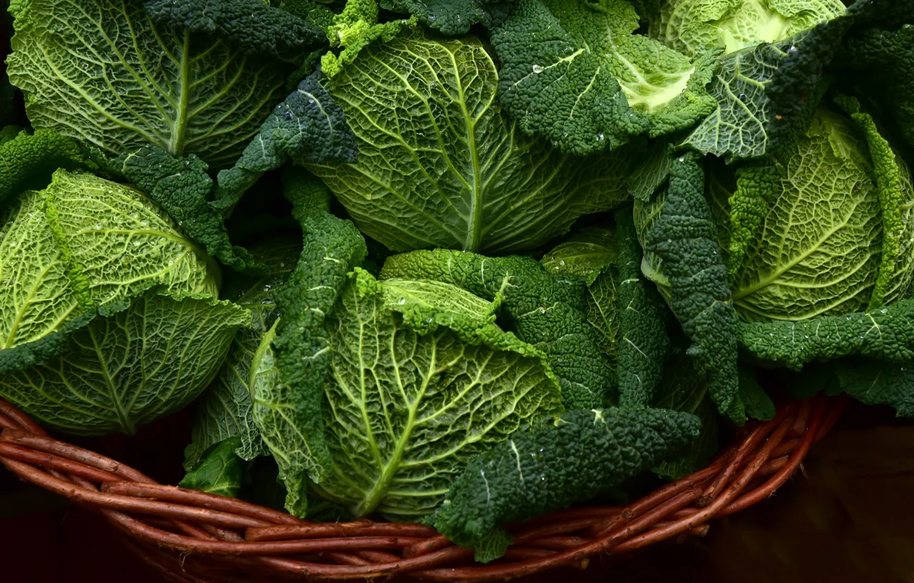 Фото обои листья, капли, крупный план, урожай, корзинка, зеленая, овощи, капуста