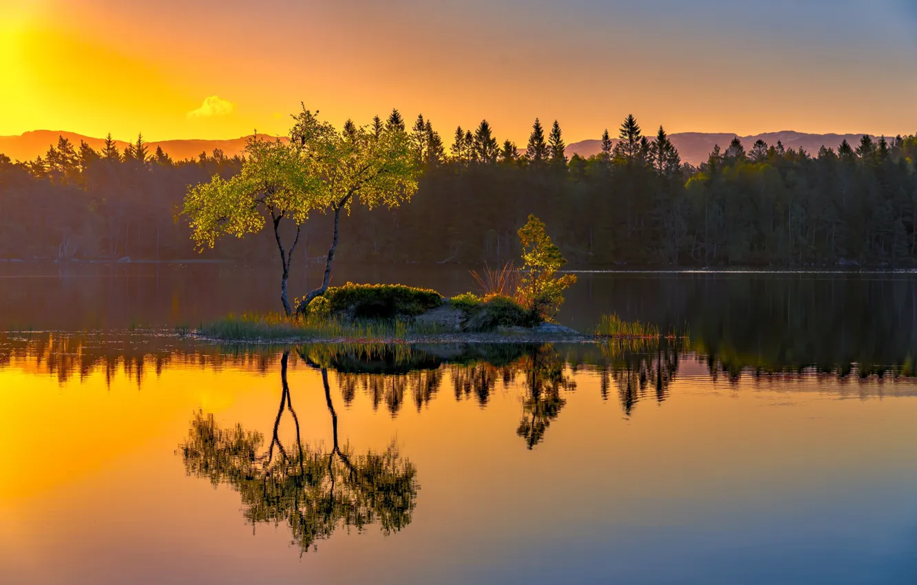 Фото обои озеро, отражение, дерево, Норвегия, островок