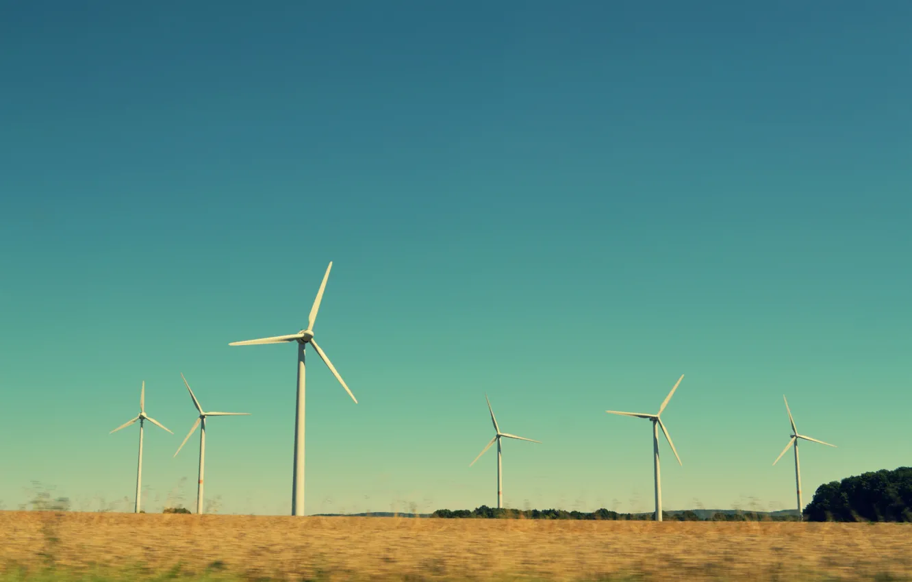 Фото обои sky, field, windmills