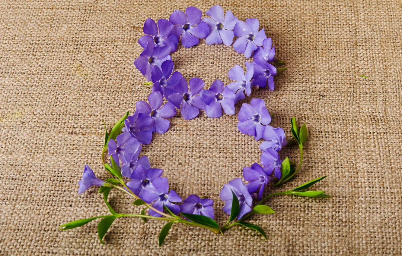 Фото обои цветы, фон, фиолетовые, цифра, ткань, 8 марта, дата, женский день
