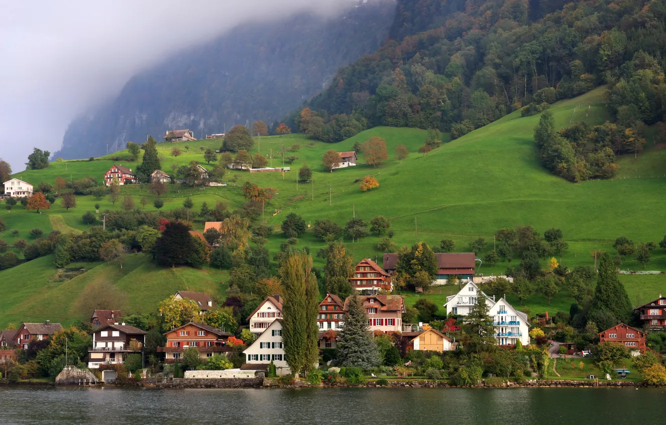 Фото обои лес, город, озеро, фото, дома, Швейцария, Kehristen