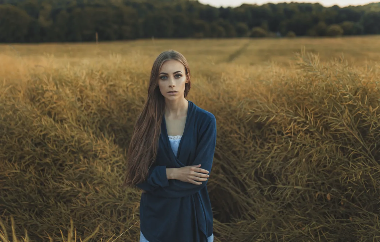 Фото обои поле, лес, лето, трава, взгляд, девушка, поза, милая