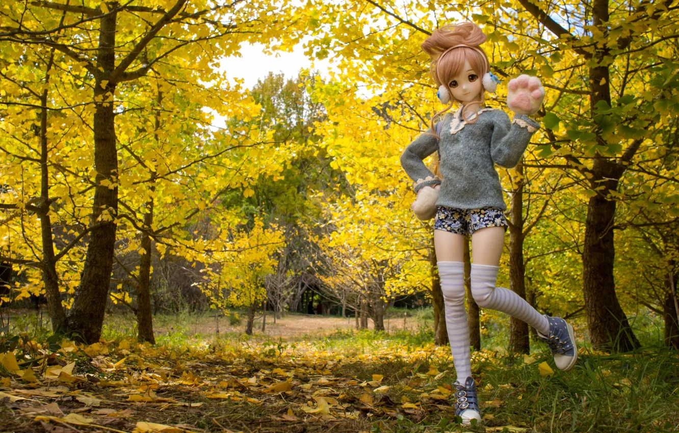 Фото обои осень, листья, деревья, природа, игрушка, кукла