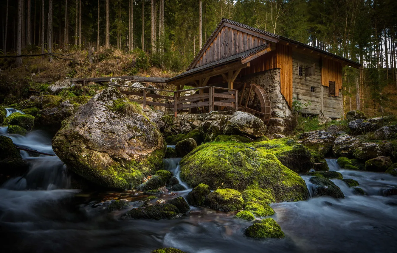 Фото обои лес, вода, дом, река, мельница