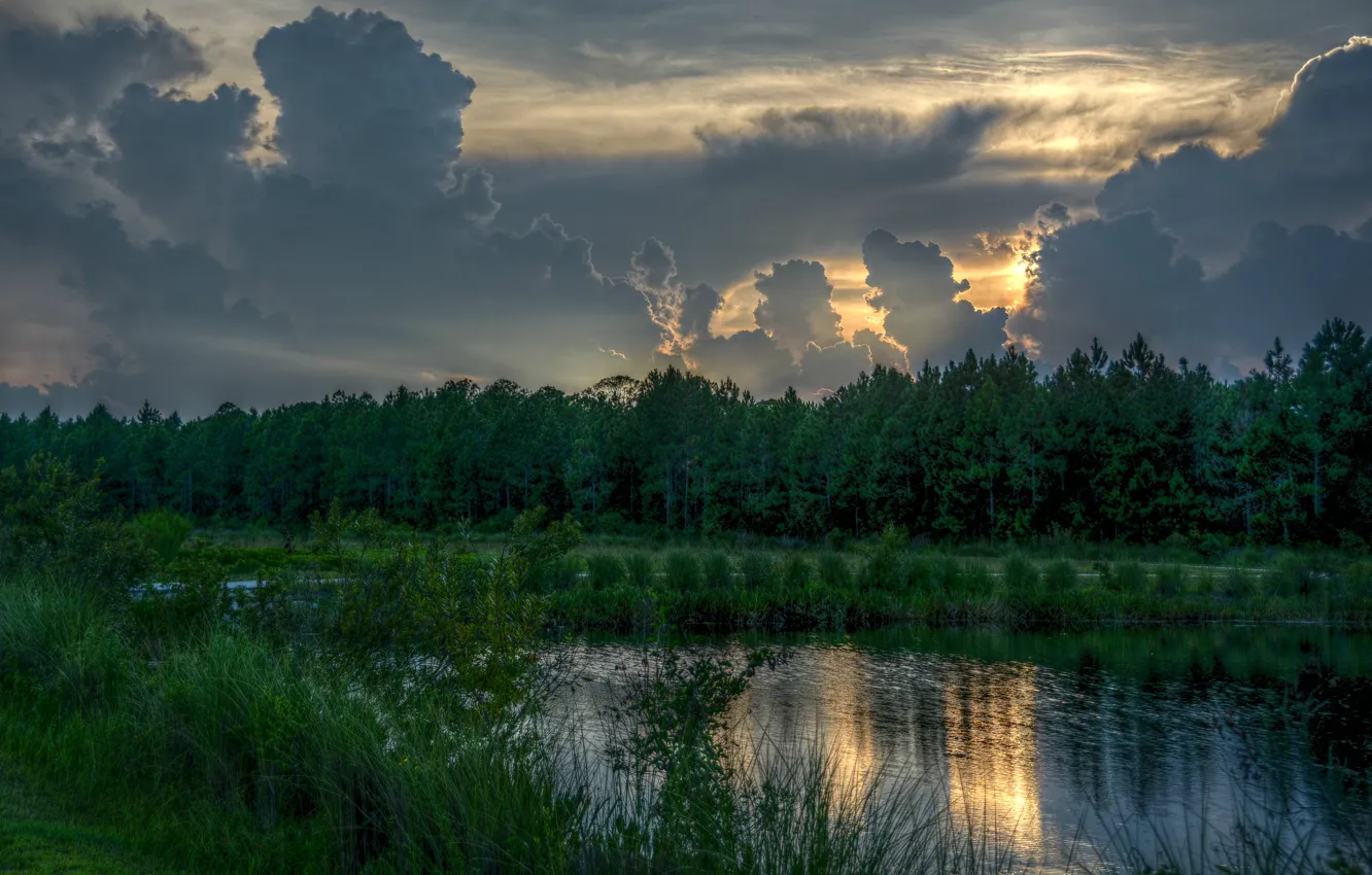 Фото обои лес, облака, закат, природа, озеро, forest, Nature, sunset