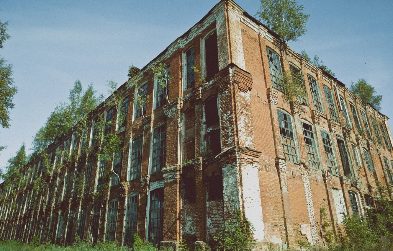 Фото обои осень, небо, трава, облака, деревья, здания, Россия, архитектура