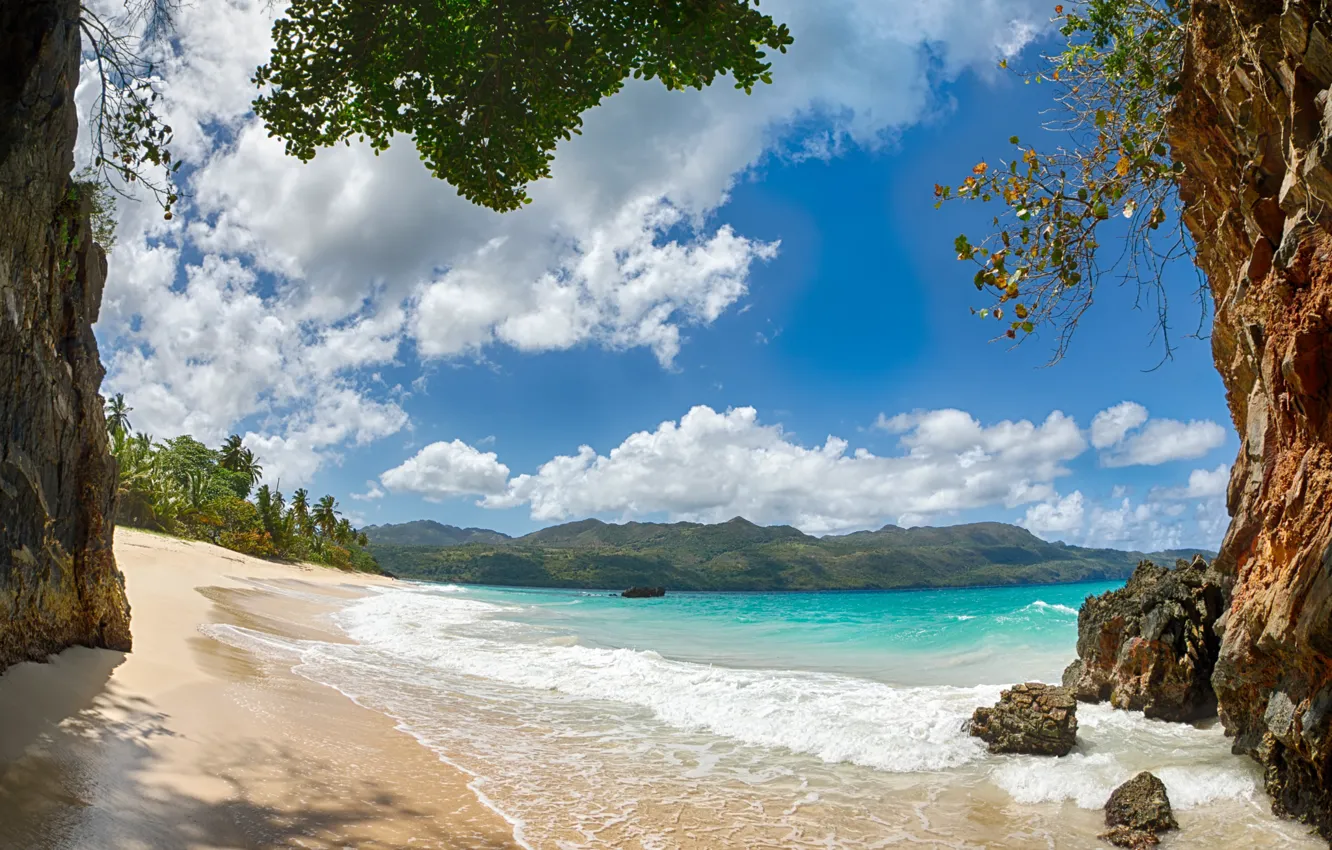 Фото обои песок, пляж, пейзаж, пальмы, побережье