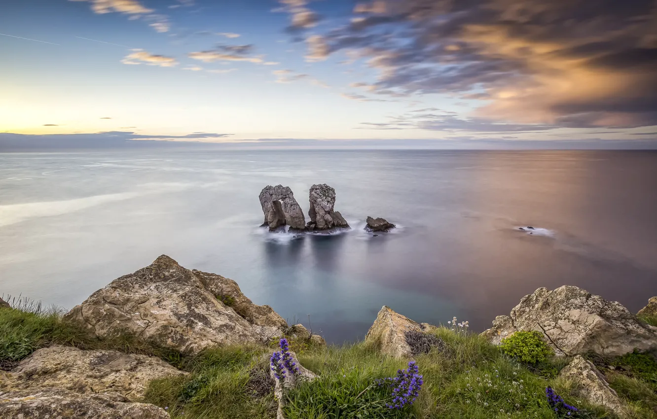 Фото обои море, вода, пейзаж, цветы, природа