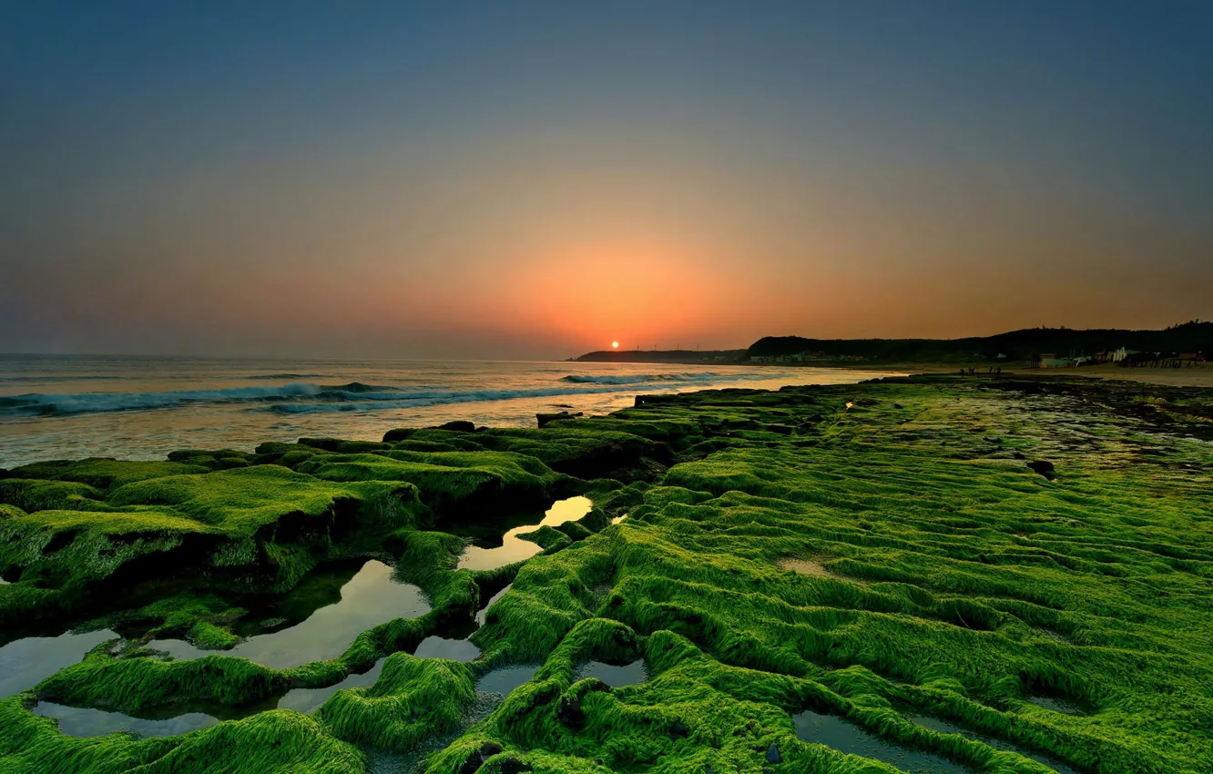Фото обои море, пейзаж, закат, природа, камни, мох