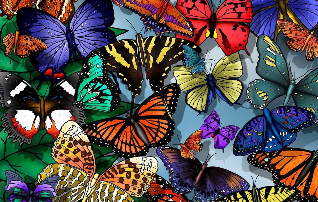 Фото обои бабочки, красиво, легко