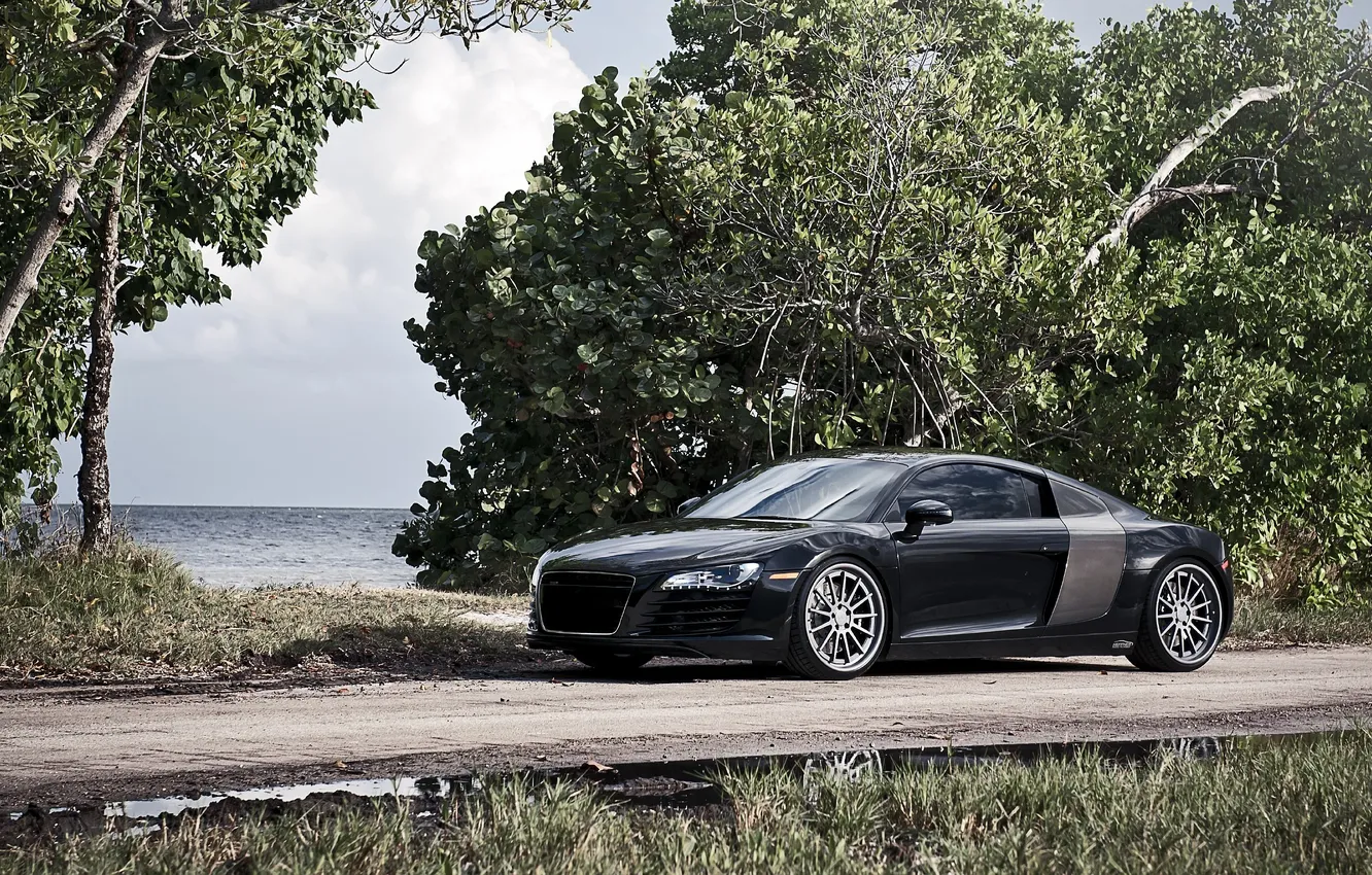 Фото обои море, листва, audi r8