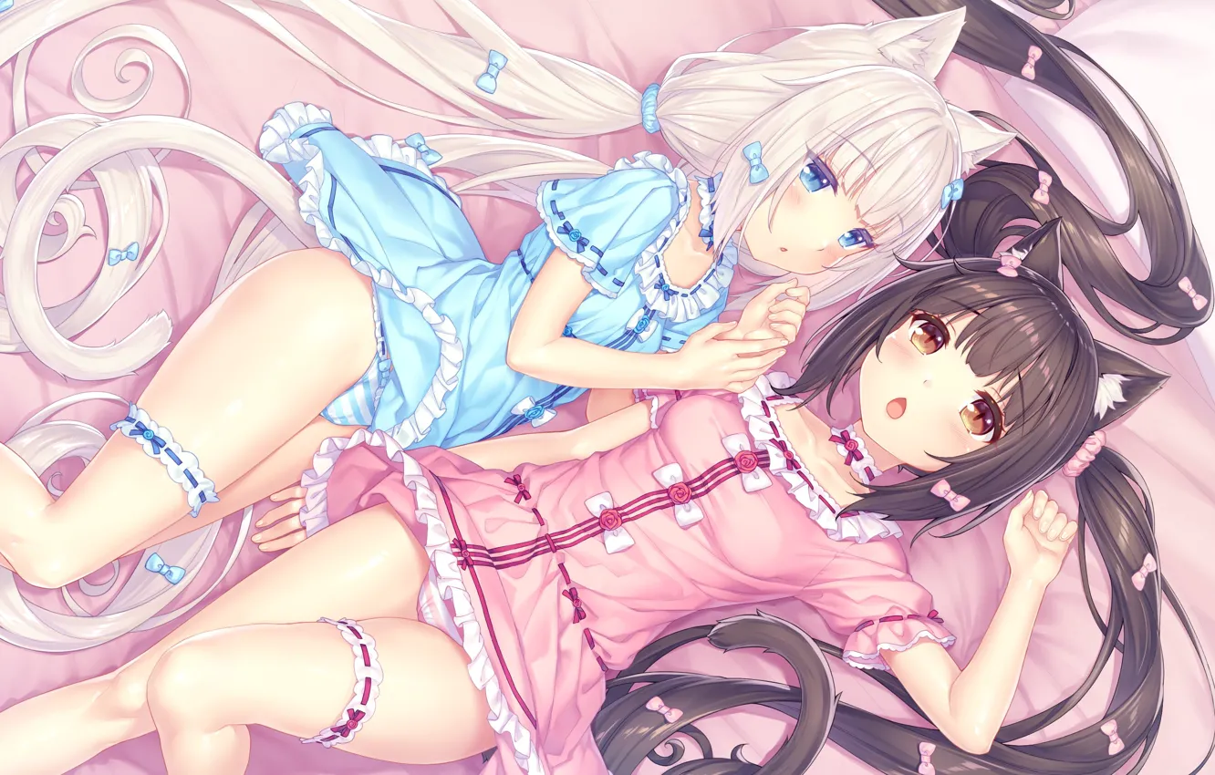 фоны для стима nekopara фото 54