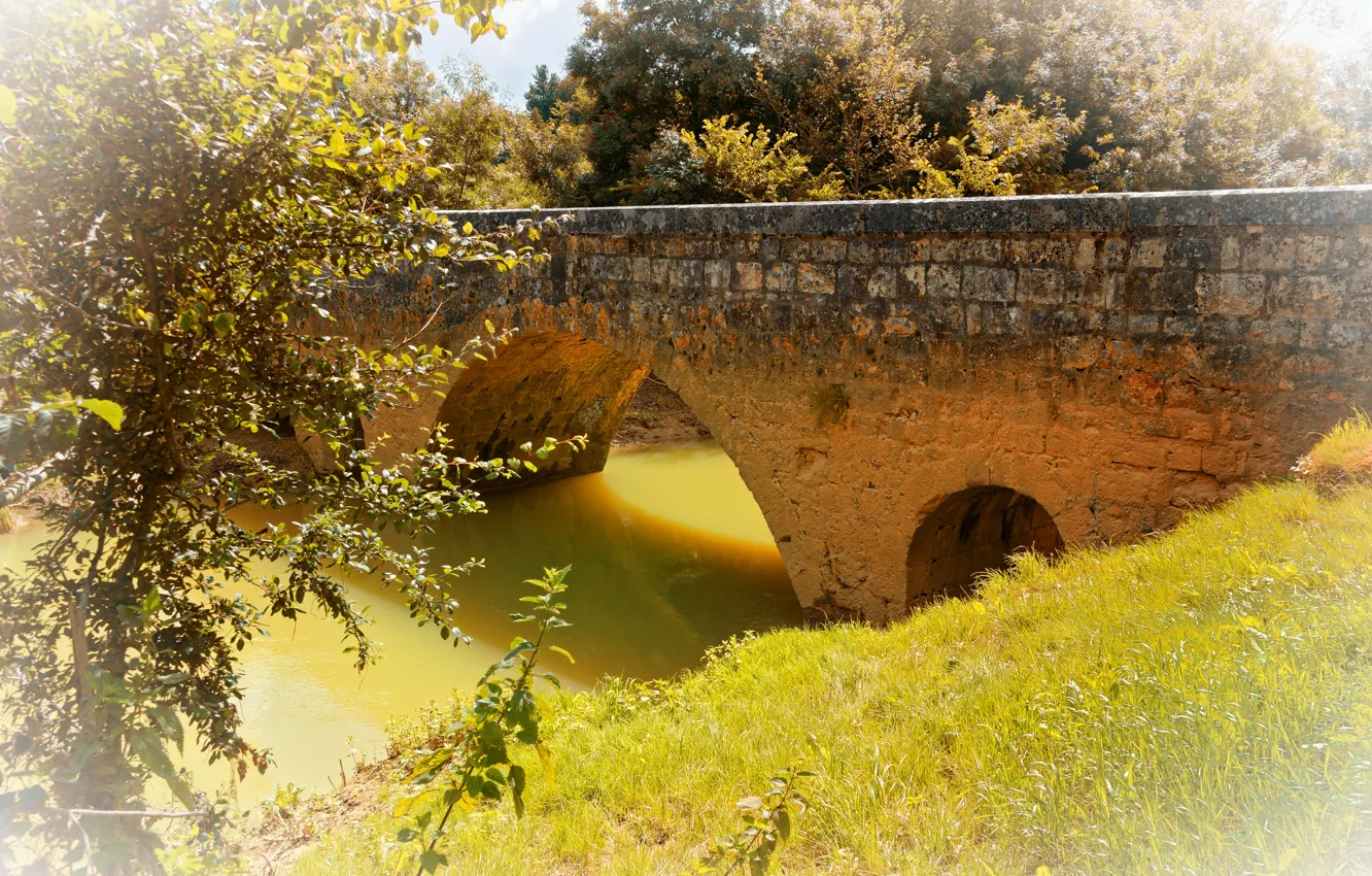 Фото обои трава, солнце, деревья, мост, река, Франция, Aquitaine
