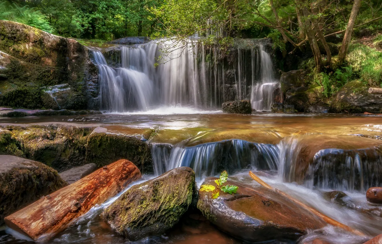 Фото обои лес, камни, водопад, Уэльс, Ллансантфраед