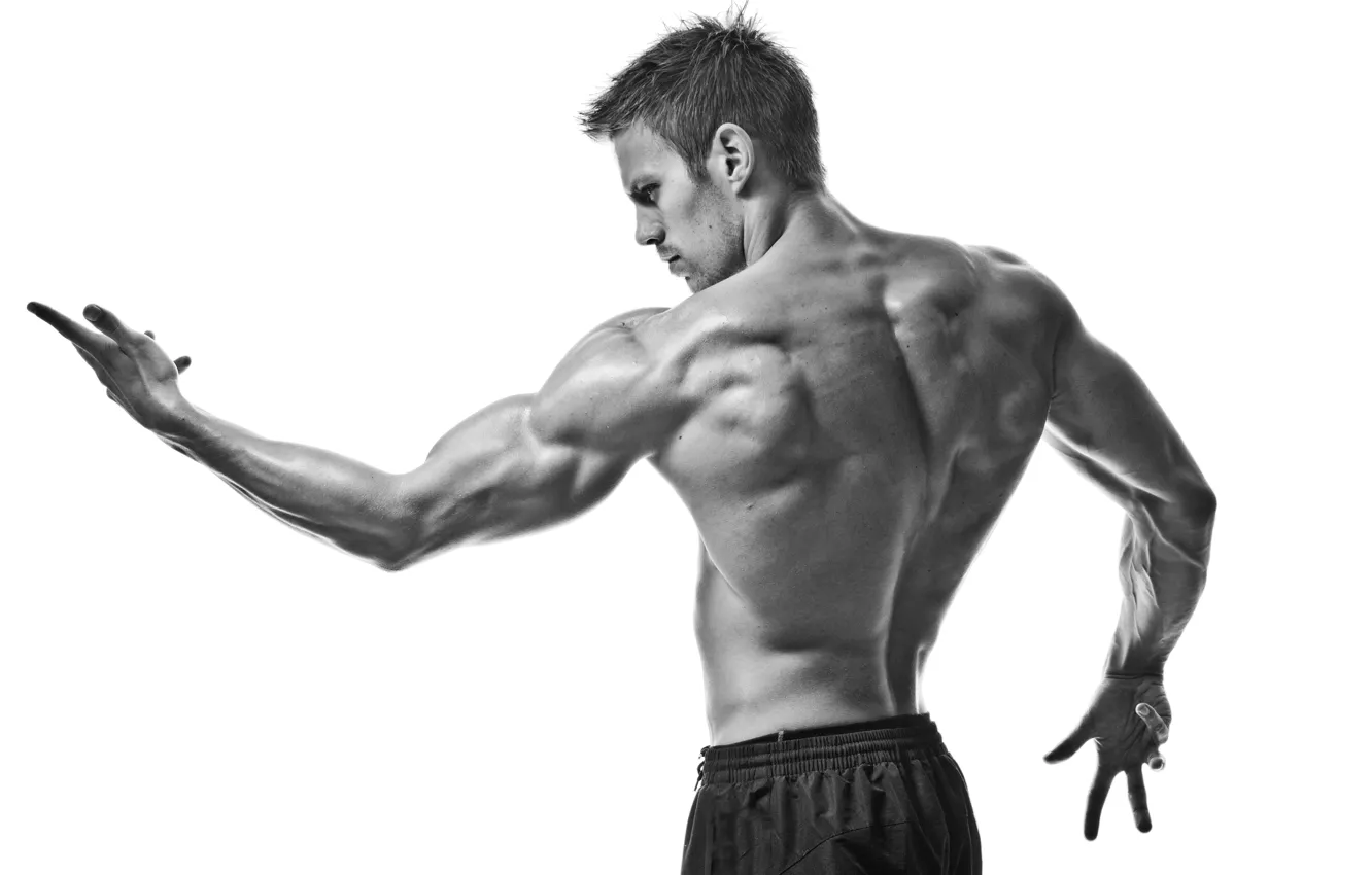 Фото обои sport, muscles, black and white, pose, gym