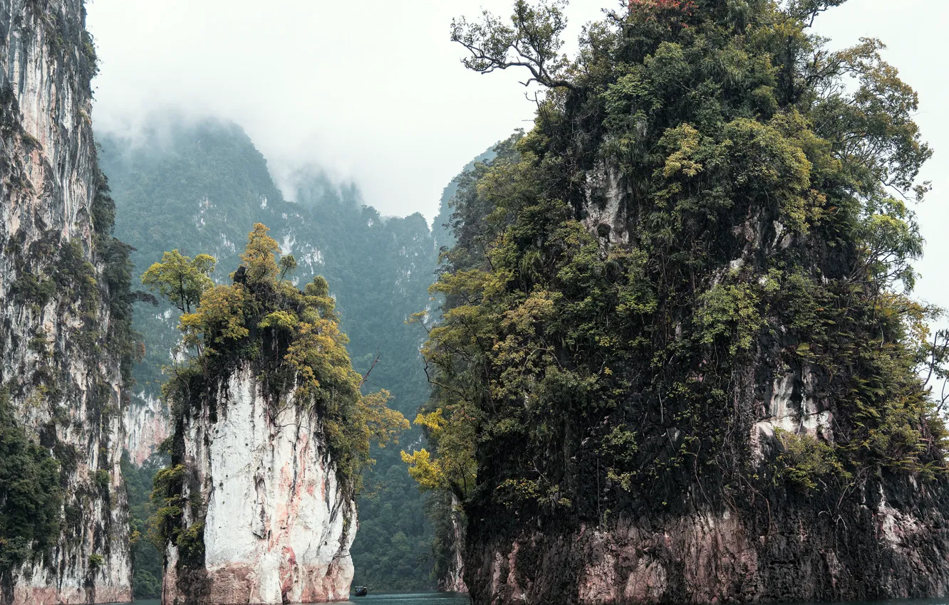 Фото обои море, деревья, природа, скалы, таиланд