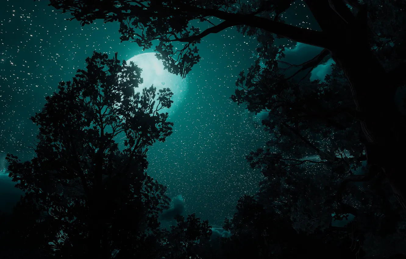 Фото обои ночь, звёзды, Ведьмак, The Witcher 3