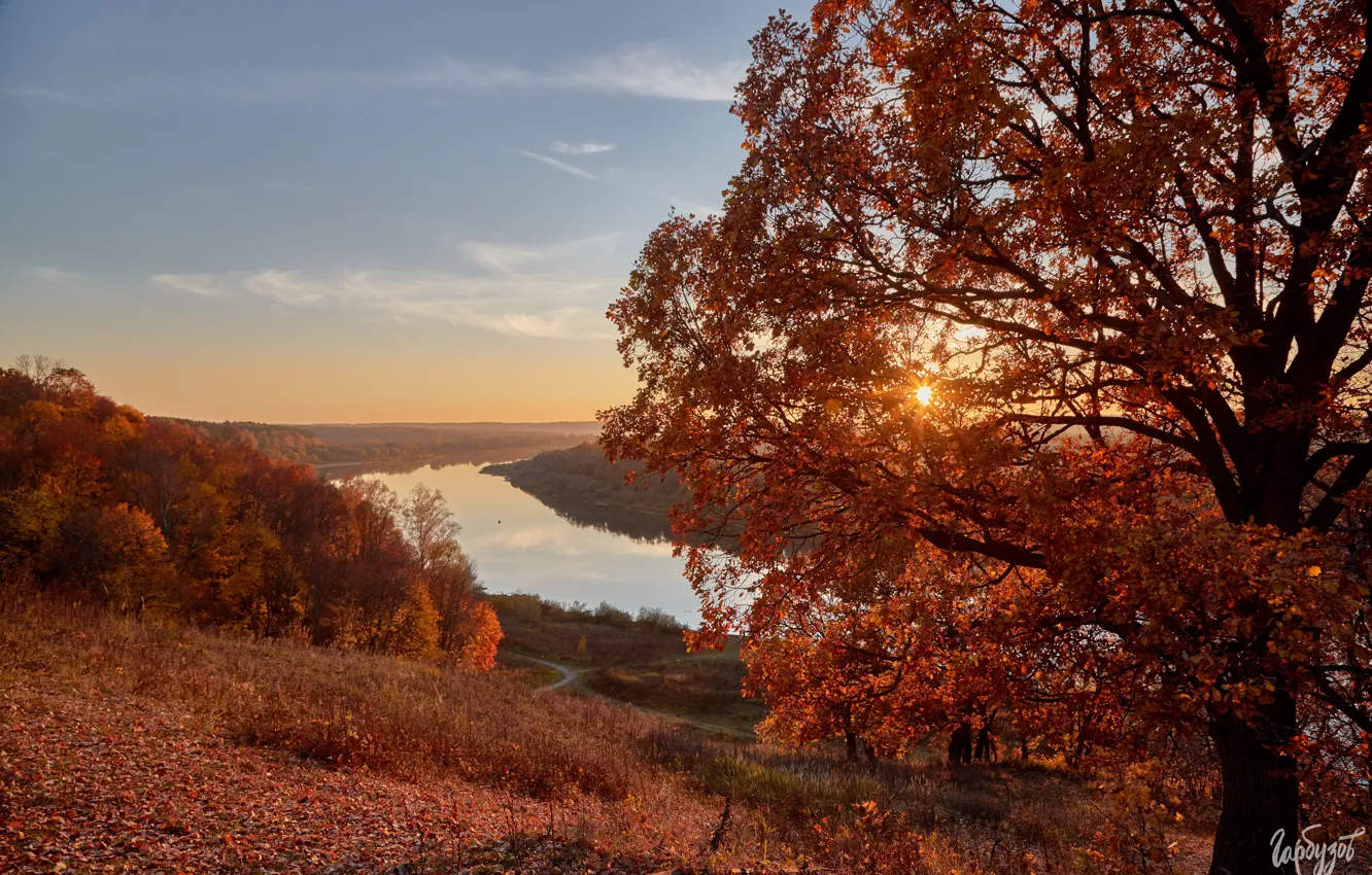 Фото обои осень, солнце, пейзаж, закат, природа, река, леса, Ока