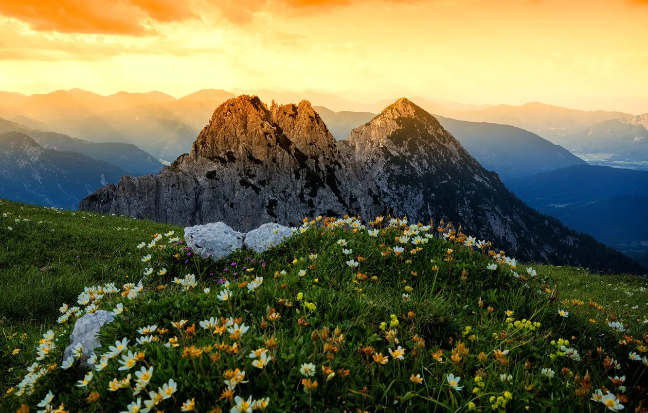 Фото обои трава, пейзаж, цветы, горы, природа, Альпы, луга
