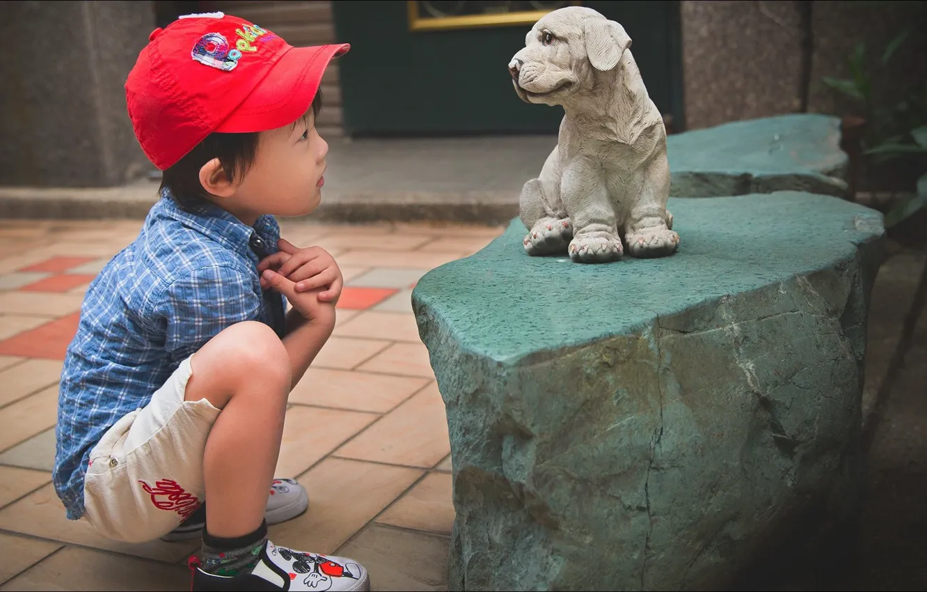 Фото обои эмоции, удивление, собака, мальчик, dog, boy, situations, emotions