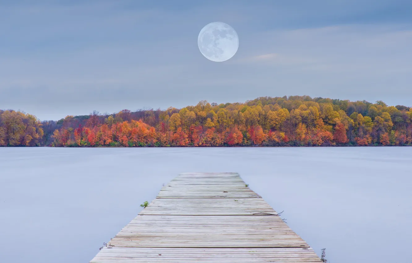 Фото обои осень, лес, природа, озеро, луна, пристань