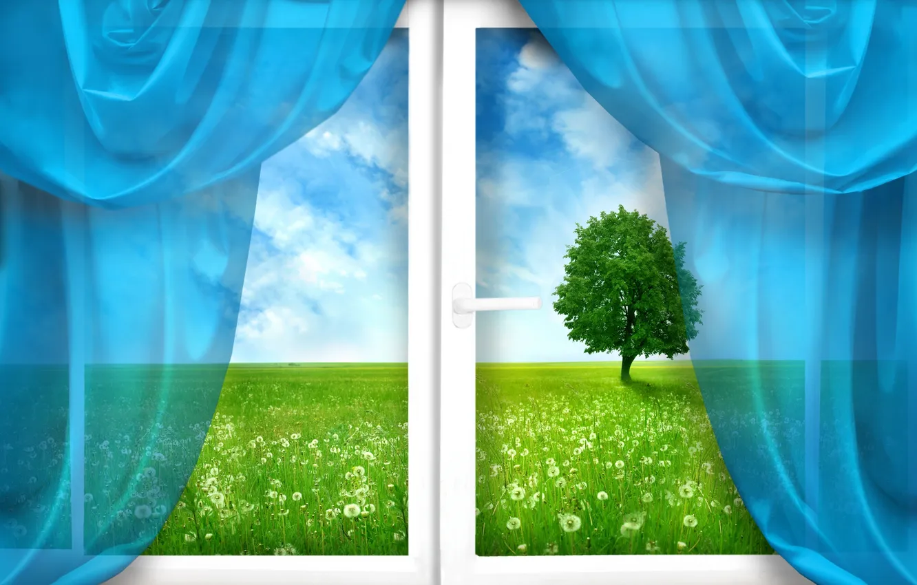 Фото обои поле, трава, дерево, окно, шторы, одуванчики