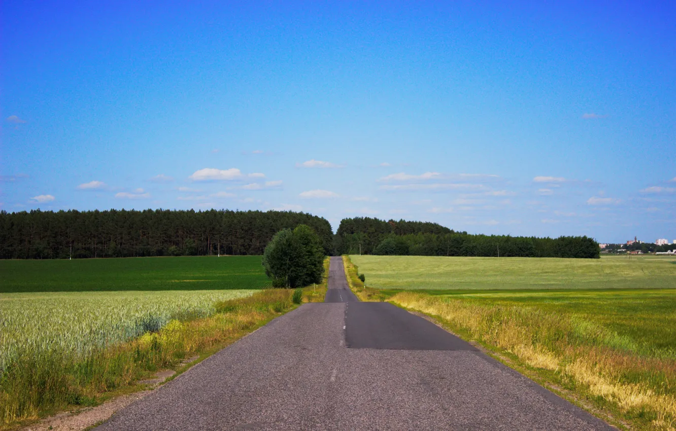 Фото обои дорога, лето, поля