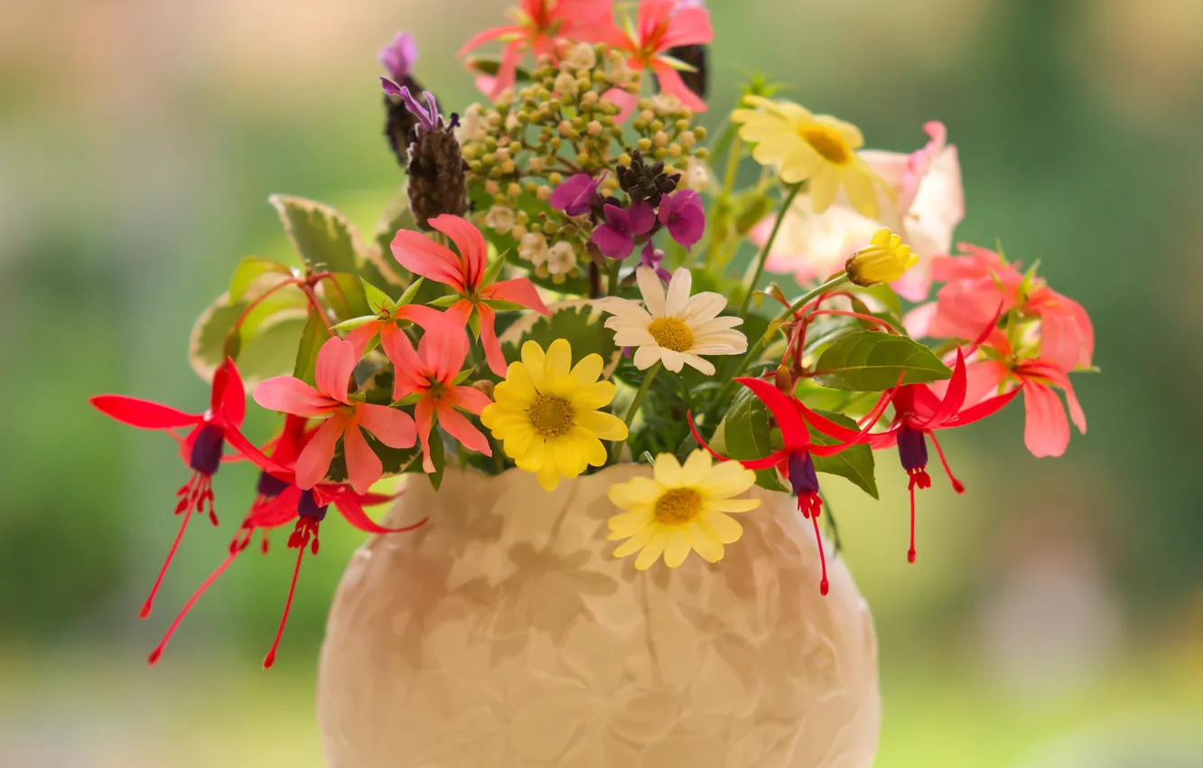 Фото обои ромашки, ваза, лаванда, фуксия, пеларгония, летний букетик, желтушник
