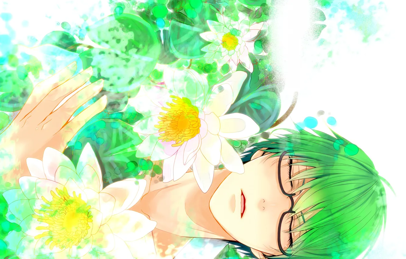 Фото обои цветы, спит, парень, Баскетбол Куроко, Kuroko no Baske, Мидорима Шинтаро