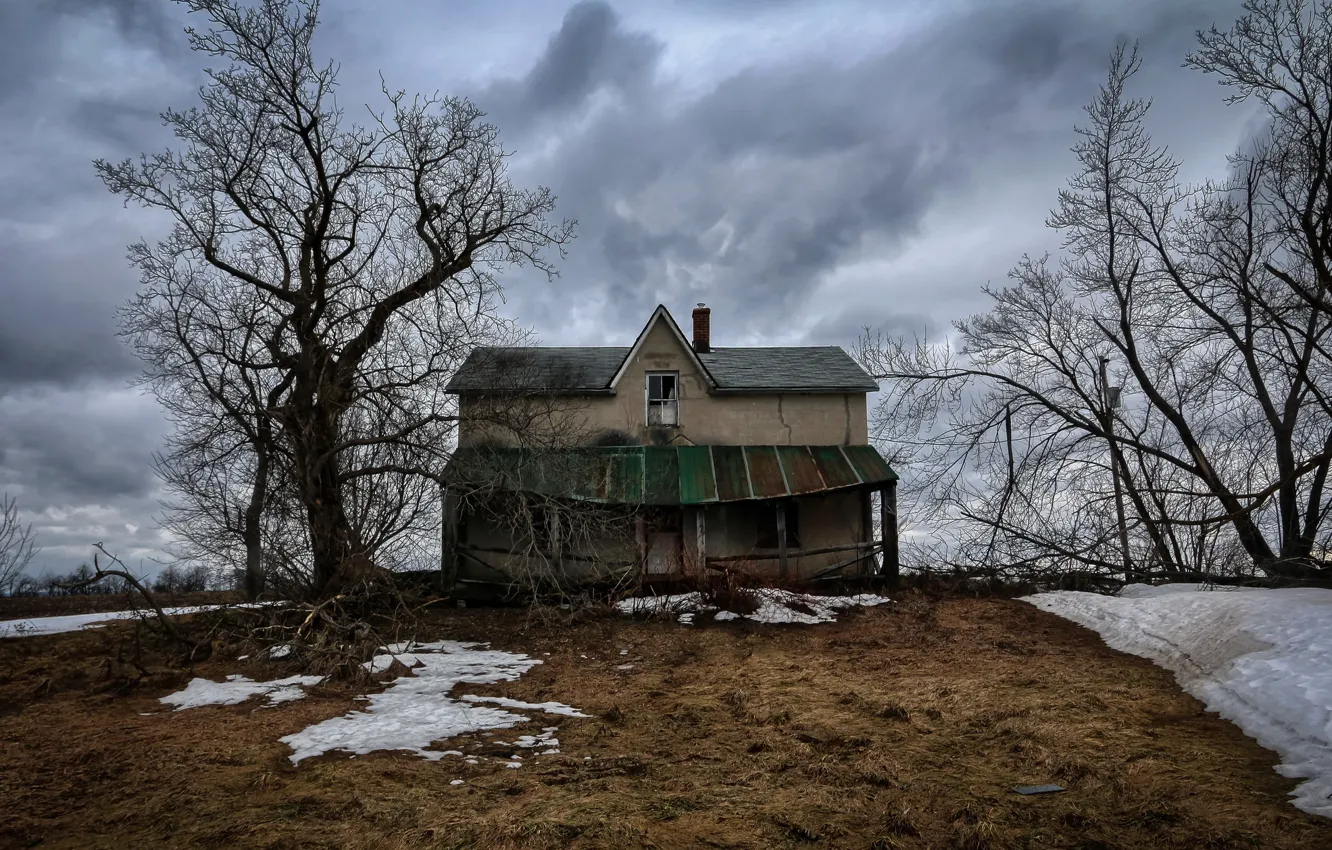 Фото обои зима, дом, дерево