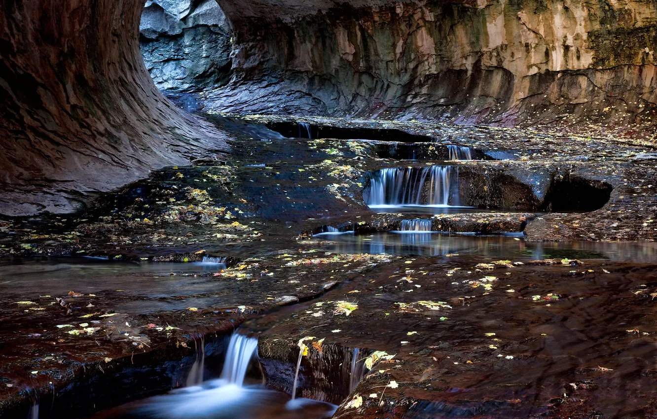 Фото обои листья, ручей, скалы, тоннель, Zion National Park, сша, юта