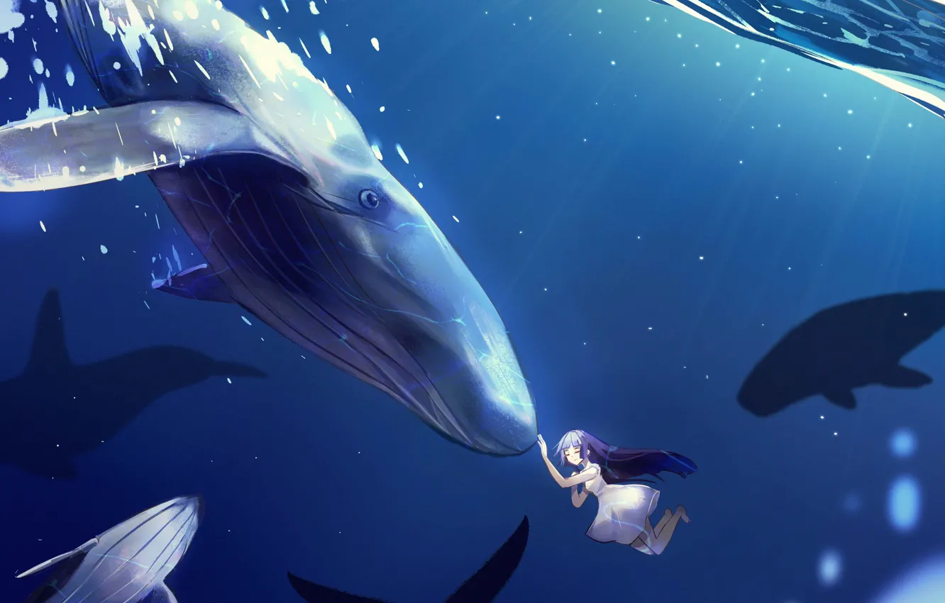 Фото обои девушка, киты, под водой