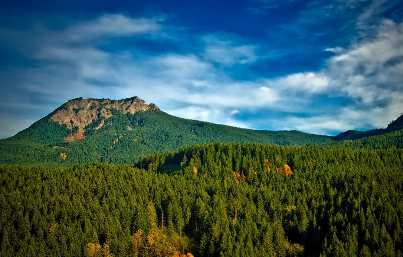 Фото обои осень, лес, небо, облака, деревья, горы, Вашингтон, США