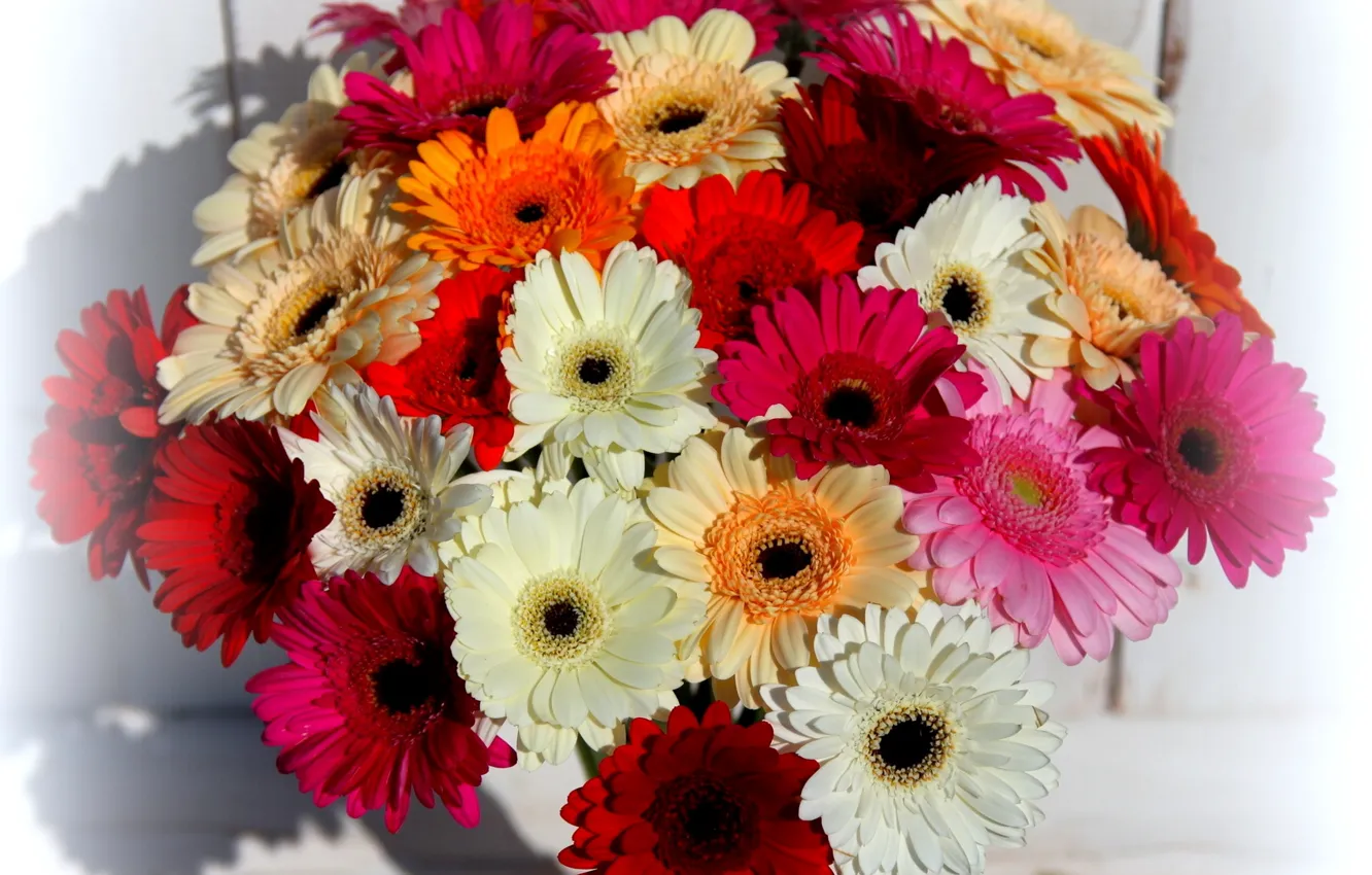 Фото обои цветок, цветы, букет, герберы, красивые